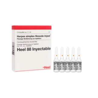HERPES-SIMPLEX AMP 1.1ML. HEEL -Medicamento Homeopático